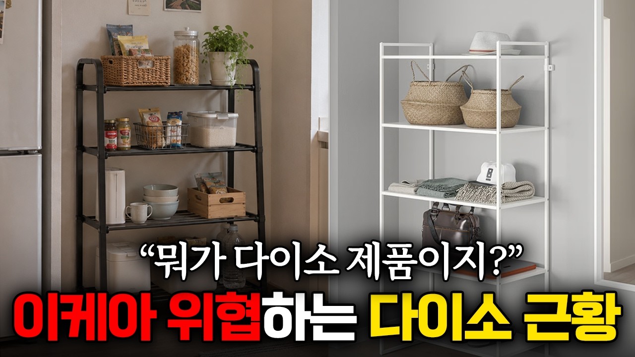 “이케아보다 10배 싼데요?" 안 사면 후회하는 다이소 역대급 퀄리티 추천템
