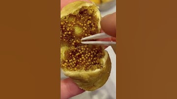 At least 1 fig we eat has a 💀 female wasp inside. Find out why with me🌱 #fig #howtowithjessie