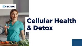 How Detoxification Supports Ongoing Cellular Health | CellCore Biosciences