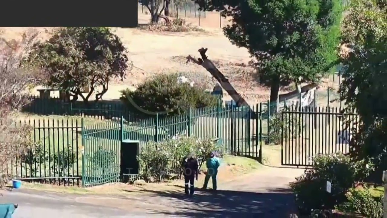 Upgrade your Security Infrastructure with NEO-AI Technologies