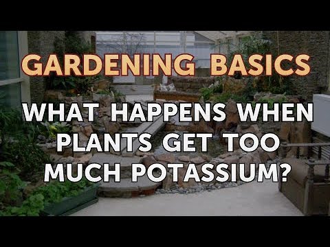 Video: Too Much Potassium – How To Treat High Potassium in Soils