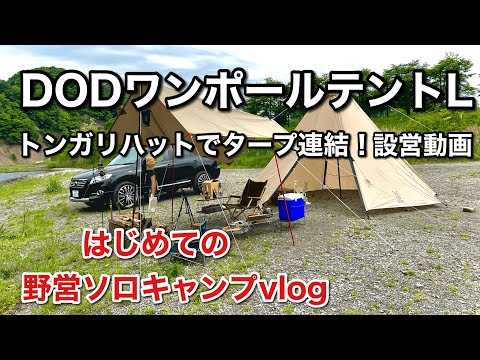 【DODワンポールテントL】初心者が1人でタープ連結！はじめての野営キャンプvlog