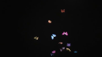 Future World: Nature - Flutter Of Butterflies Beyond Borders