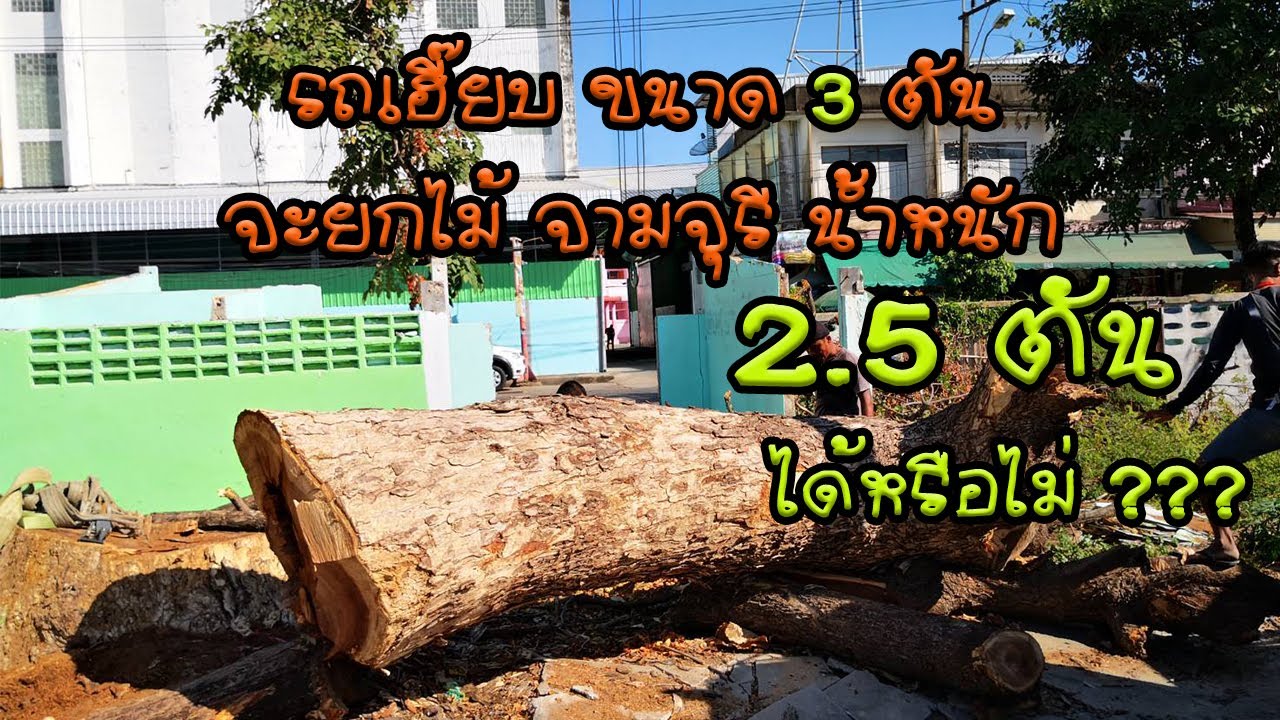 ทดสอบรถเฮี๊ยบ 3 ตัน จะยกไม้จามจุรี น้ำหนัก 2.5 ตัน ได้หรือไม่ ?