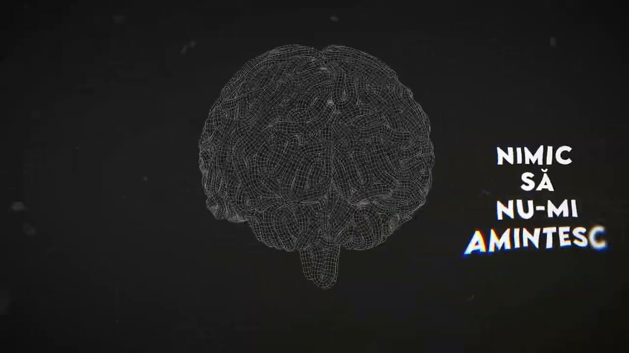 Cyrcle Right — Ceva Bun (Animated)