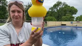 Duck Pool Chlorine Floater | Overseas Pool Test & Real Use Review
