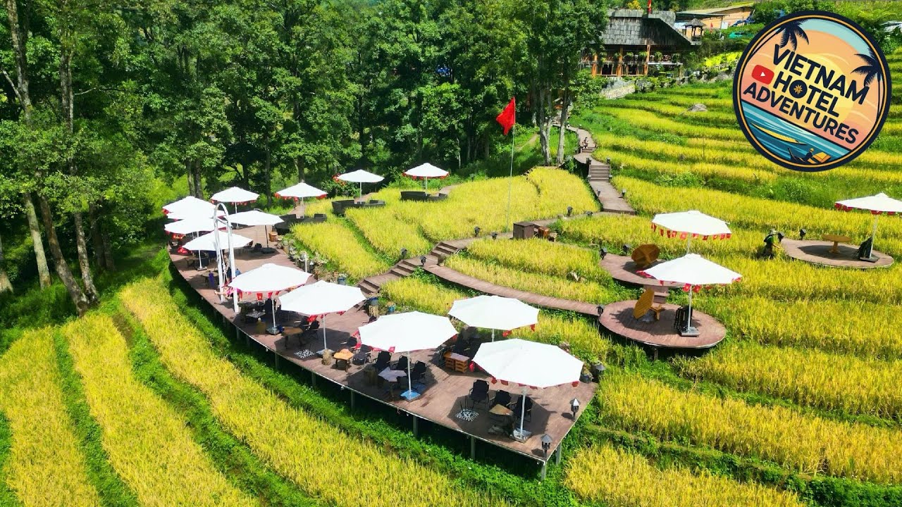 MT House Sa Pa | Sapa, Vietnam | Hotel Review 🌟