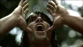 SwissMilk.mov Profile