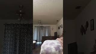 pov: the student needs help