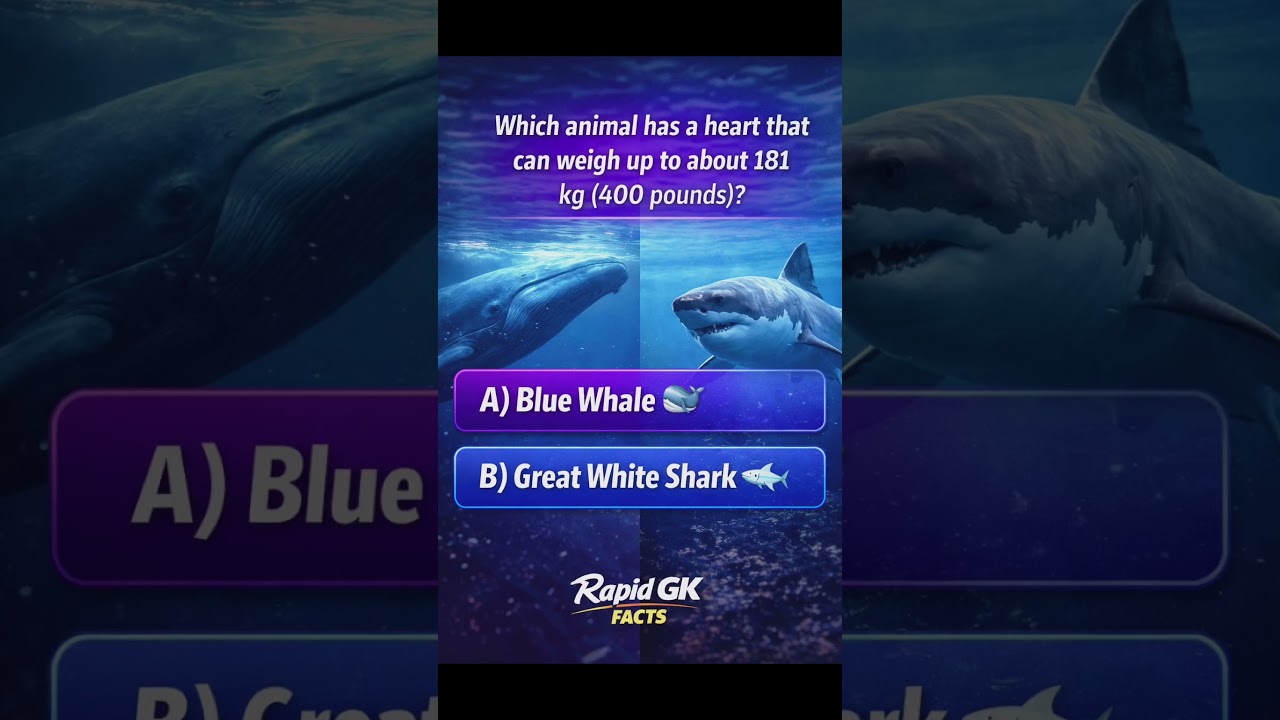 Which Animal Has the Heaviest Heart in the World? 🤔💙 