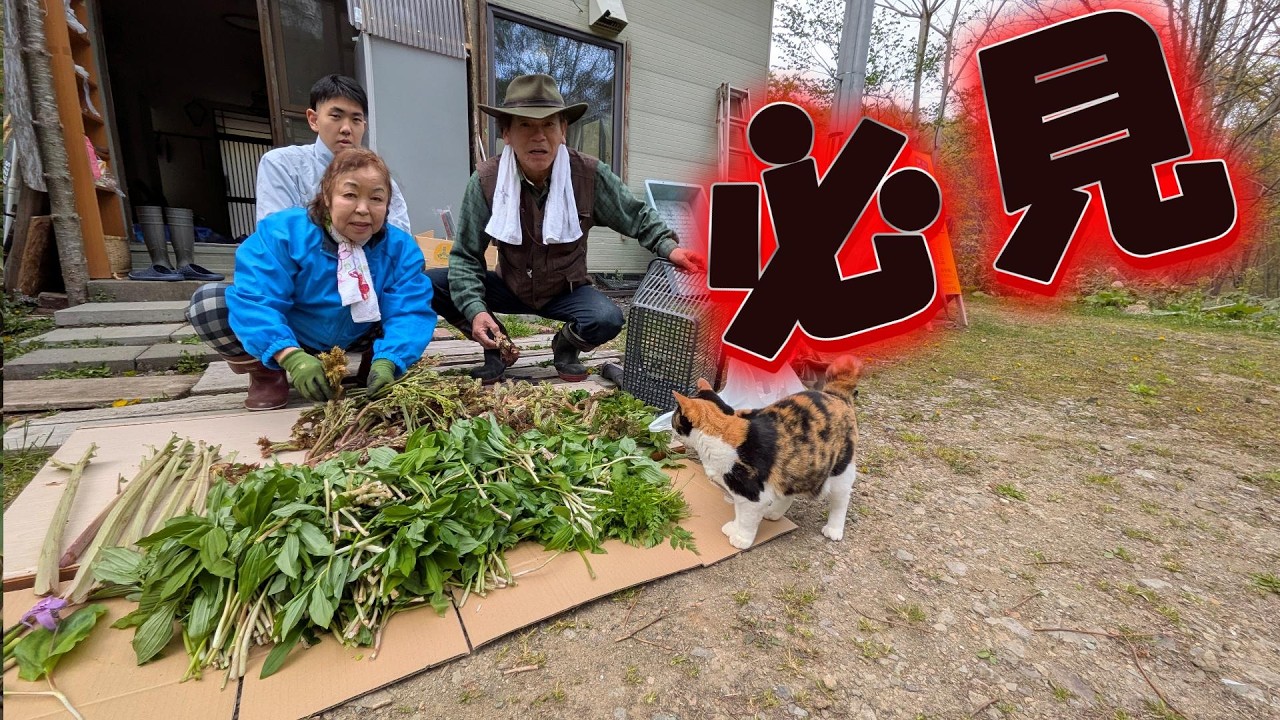 必見！！　　　第104回