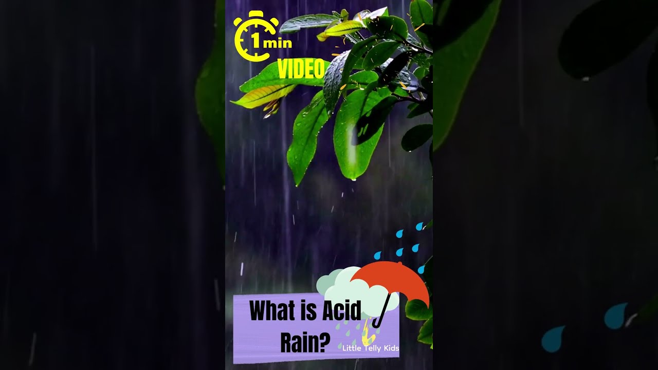 What is Acid Rain? 