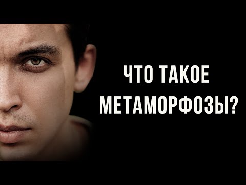 Что такое метаморфозы Обращение Петра Осипова