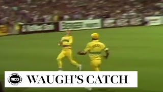 Steve Waugh's remarkable catch at the MCG