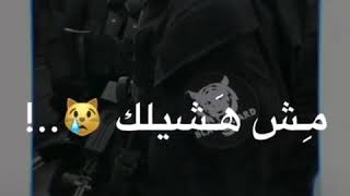 صاحبي قلي انت ضلي حالات واتس اب