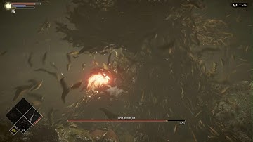 Leechmonger SL 1 NG+5 PBWT +0 Weapons No Sprint/Roll/Hyper/Soul Form/Rings