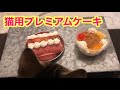 【高級】猫専用のプレミアムケーキをあげてみた。　　If you try to eat a high-class cake exclusively for cats