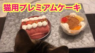 【高級】猫専用のプレミアムケーキをあげてみた。　　If you try to eat a high-class cake exclusively for cats