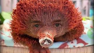 Cute Hedgehog with Human Eyes