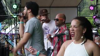 The Alchemystics Bangers N Mash Live @ Strangecreek 2016