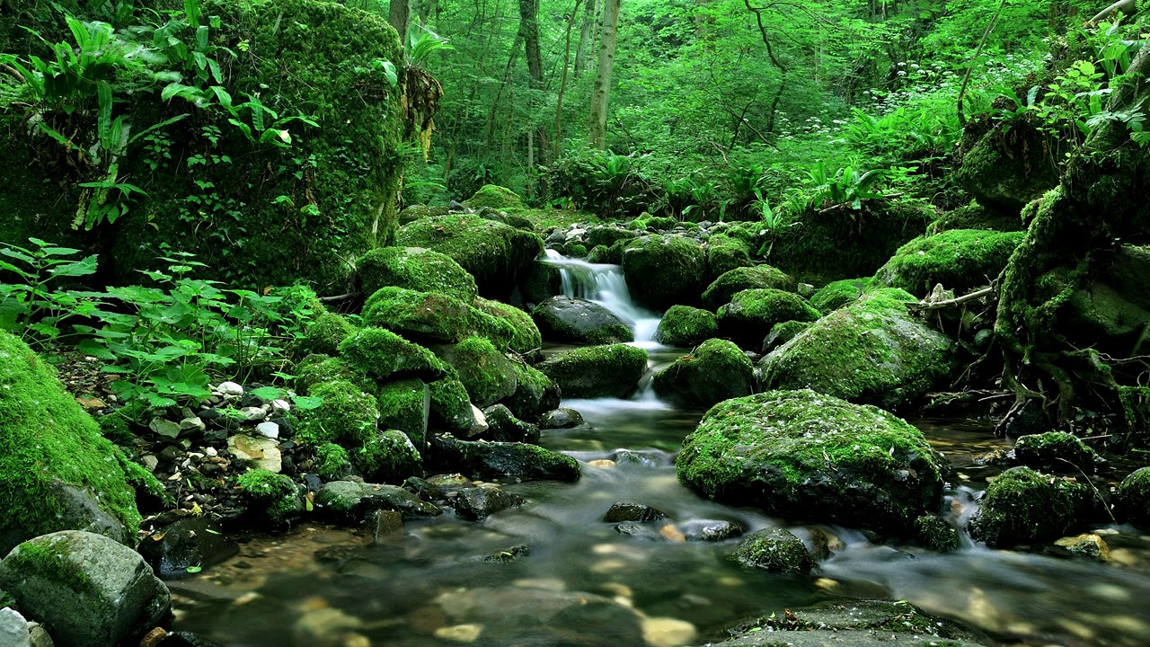 Gregory Esayan - Your Warmth (Original Mix)