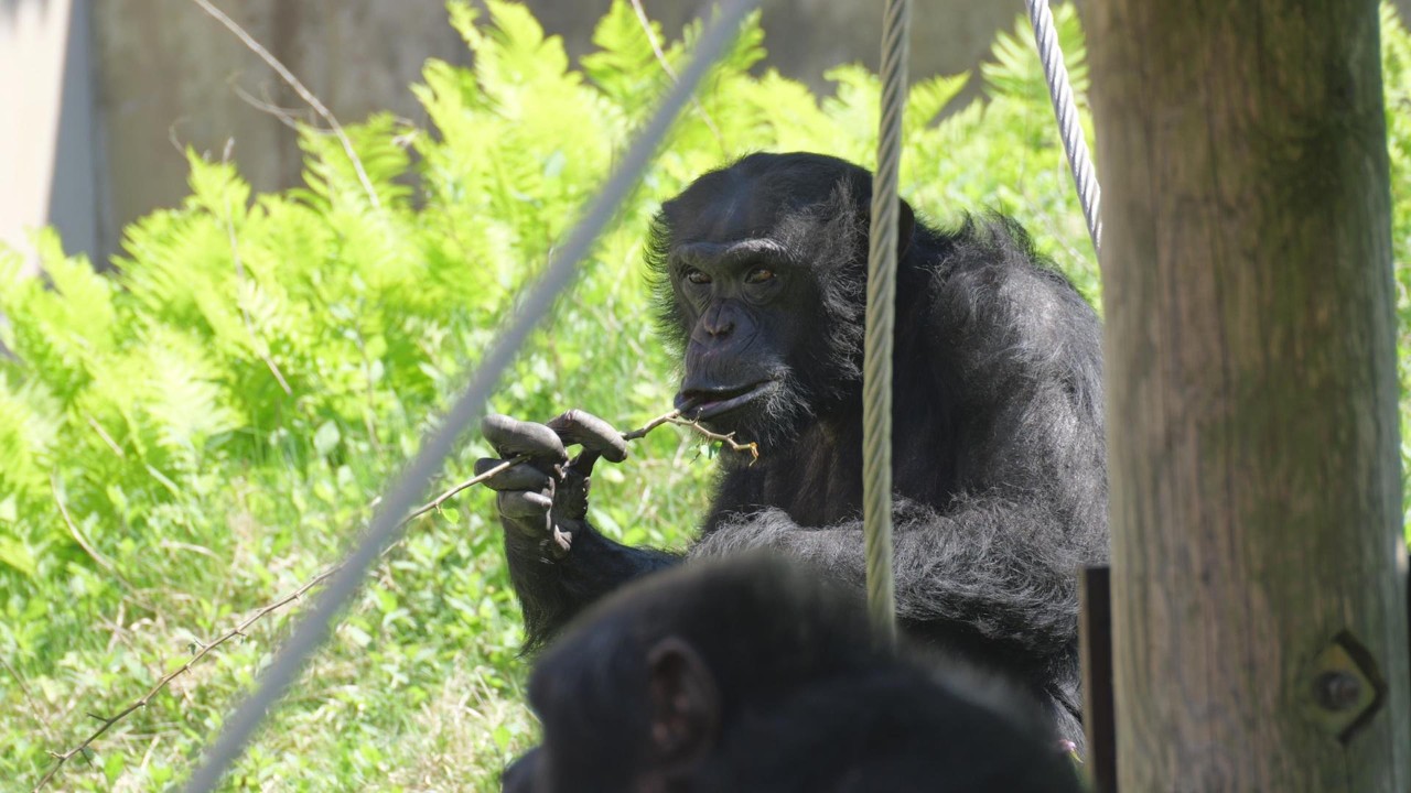 It's snack time for Kotaro and the others! Omoriyama Zoo