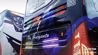 Tik tok bus po haryanto