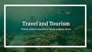 How the Travel & Tourism sector can contribute towards a nature-positive future