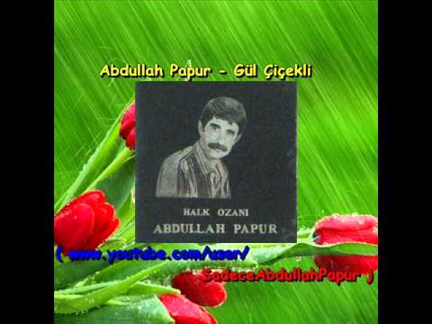 Abdullah Papur - Gül Çiçekli