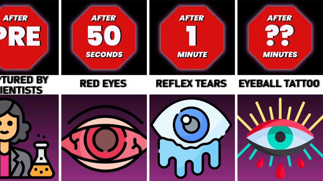 Timeline What If You Stopped Blinking