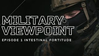 Military Viewpoint @FrauditWrangler  @KFARR  @Wpns175