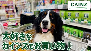 カインズでお買い物！ロボットとご対面してドキドキ♪ - YouTube