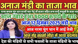 आज 12 Dec 2025 अनाज मंडी भाव | आज ग्वार हुआ ₹5000 के पार | नरमा मूंग में आई तेजी | सरसों में बदलाव,  screenshot 1