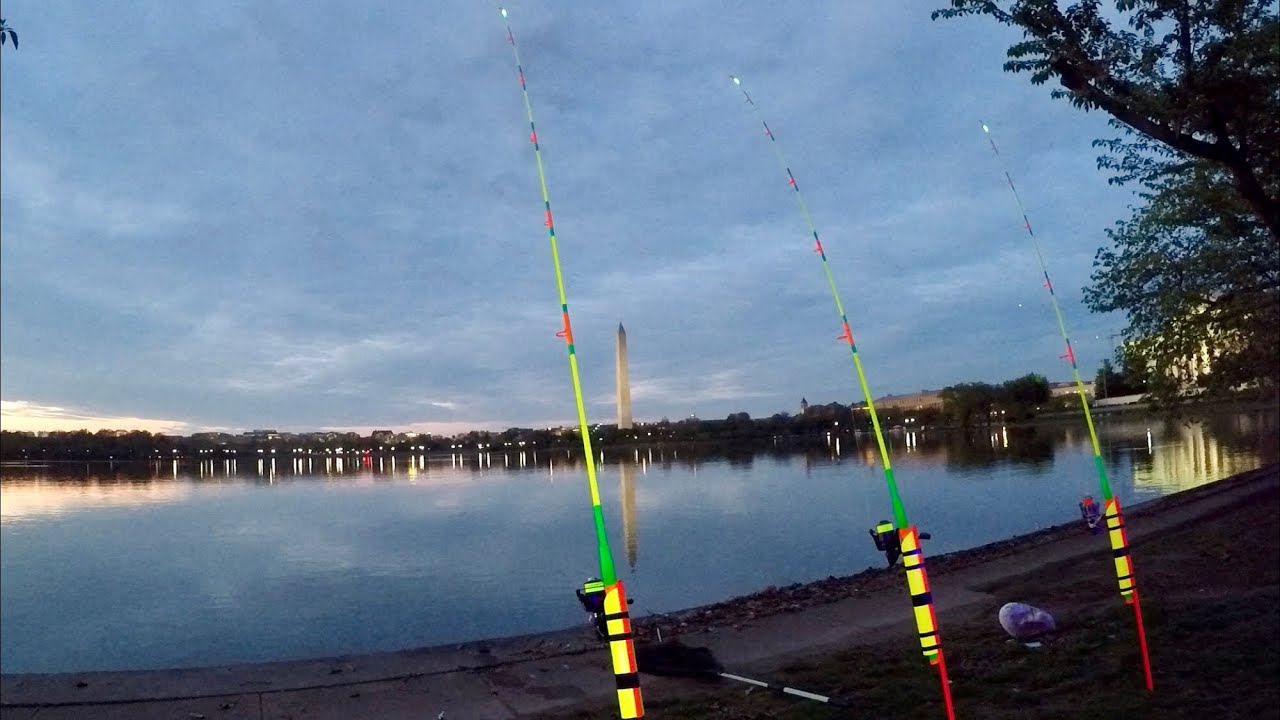 GLOWING FISHING RODS/WASHINGTON DC action between 37004200 YouTube