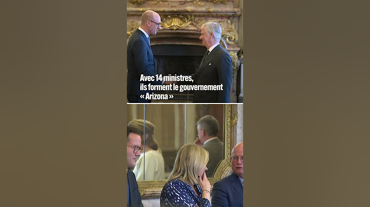 Belgique : le gouvernement Arizona a prêté serment #reels #rtbf