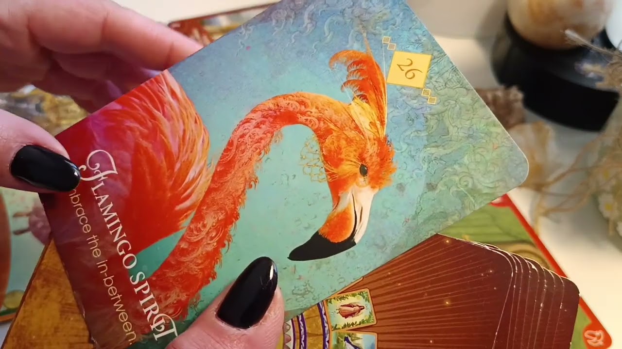 SĂGETĂTOR ♐ MARTIE ♐ PUNCT SI DE LA CAPĂT! 💥ȚI SE RESCRIE DESTINUL!♥️🤍