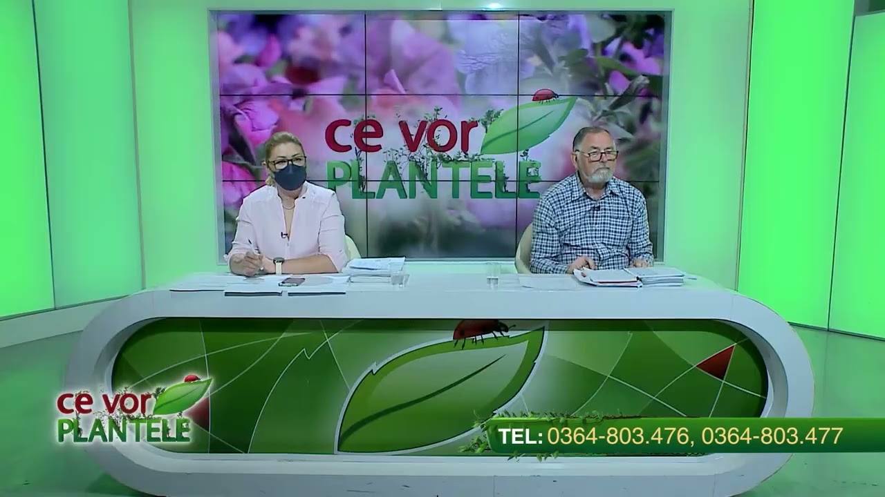 VIDEO Dr. Ing. Horia Ghibu - Sfaturi pentru întreținerea viței de vie 1 VIDEO Dr. Ing. Horia Ghibu - Sfaturi pentru întreținerea viței de vie YouTube player