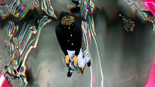 Laneo Cinco - Groovy Zoovie [Official Music Video]