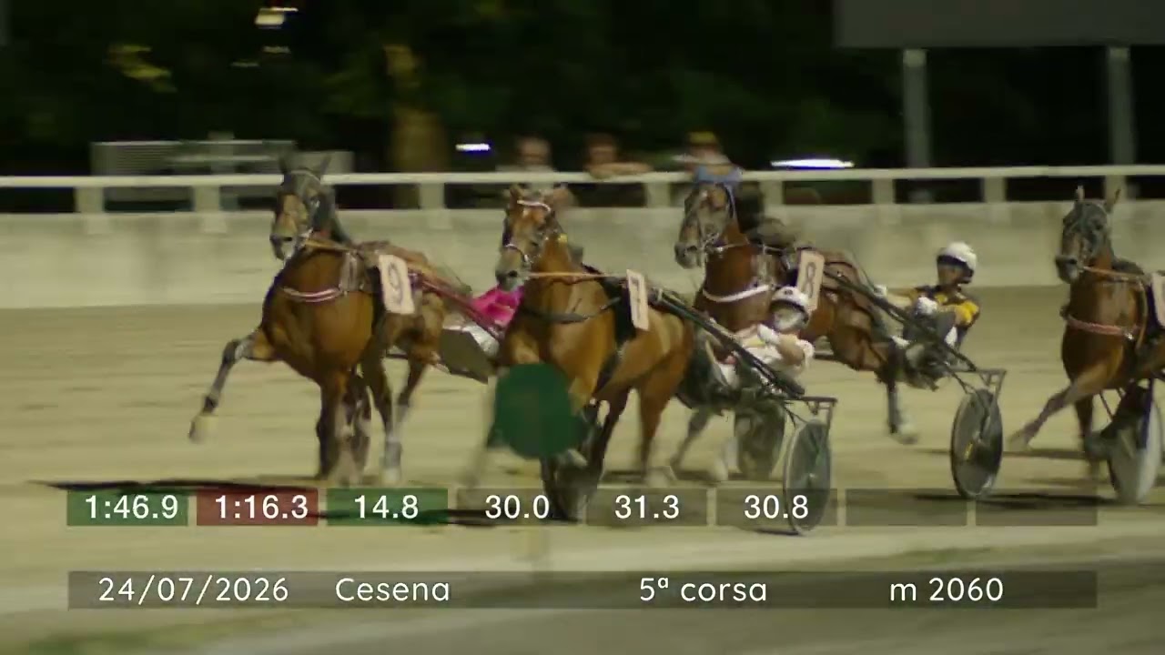 2026 07 24 | Corsa 5 | Metri 2060 | Premio Allevamento Dell'impero Maya Cane Corso