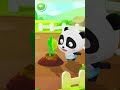 CUTE PANDA 🐼🐼😍🥰 4