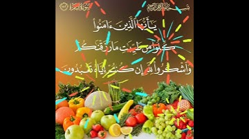 سورة البقرة الآية ( 172 )