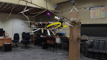 Fully Autonomous Drone