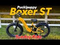 Puckipuppy Boxer ST Sunday Ride - Fat Tire Full Suspension E-Bike