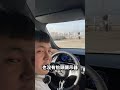 賓士EQB 250+入門款反而是真正的車系主力！