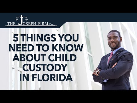 child custody lawyers florida