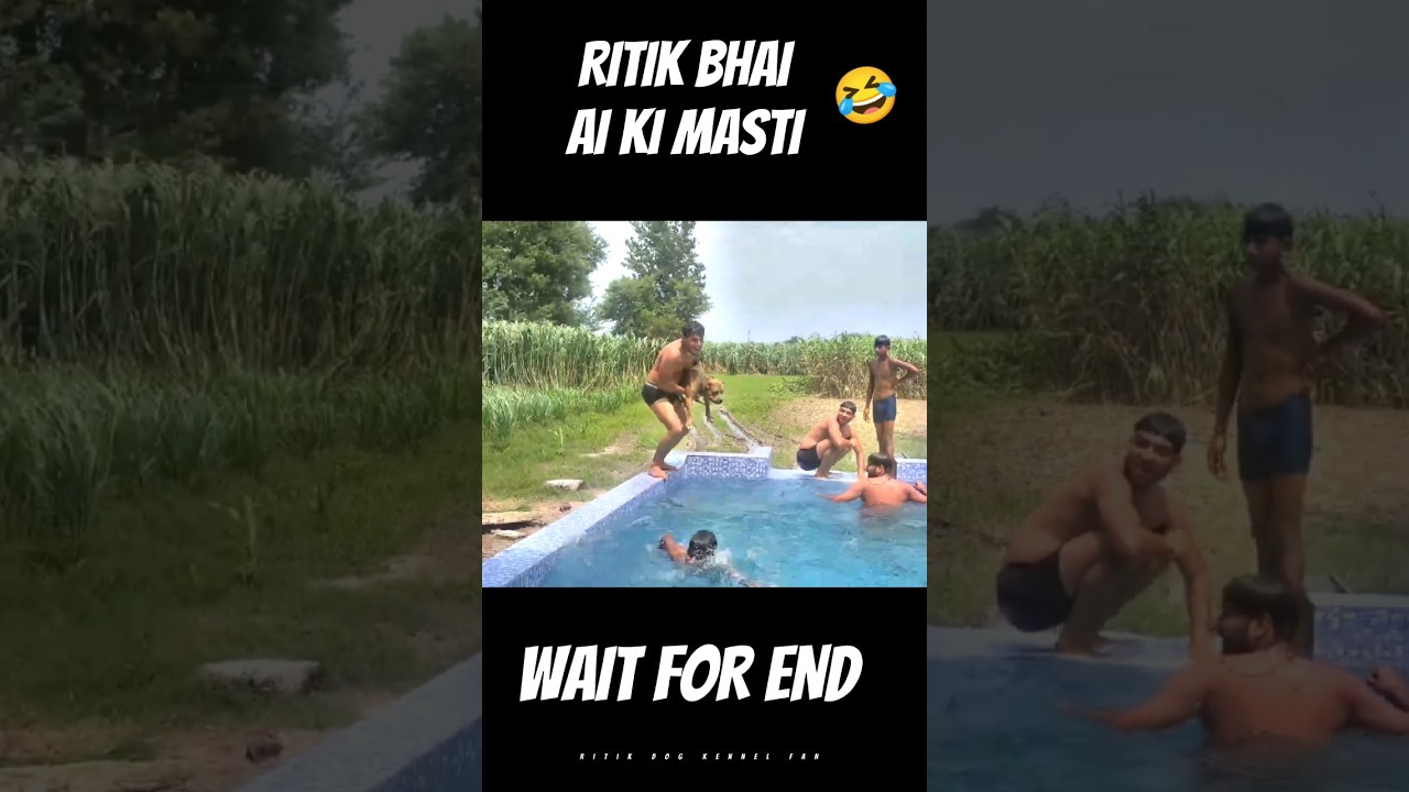 Desi Swimming Pool ⚡ | ritik dog kennel | 