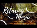 Relaxing music  nice spring  harmonic waves