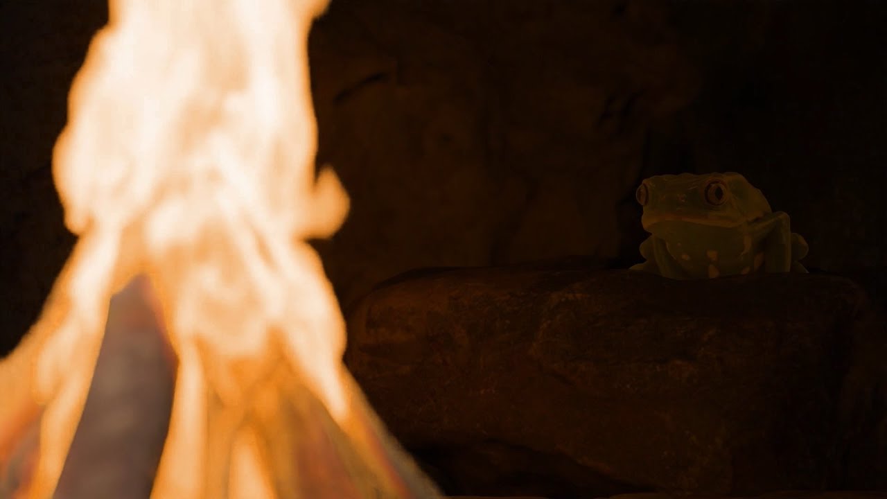 THE FRUGAL FROG