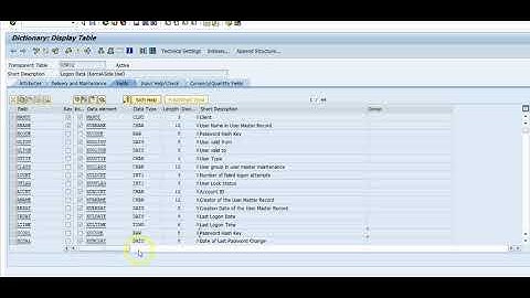 SAP Cyber Security Risk with Table USR02
