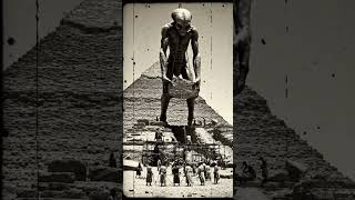 Realistic black and white grainy vintage film footage #alien #horror #history #giant #ancient